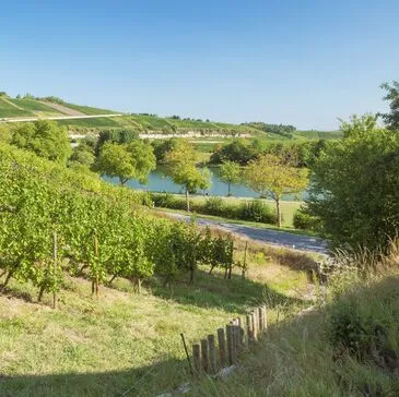 Meurthe et moselle (54) Lorraine - Sport Aérien Meurthe et moselle (54) Lorraine - Sport Aérien