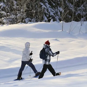 Randonnée en Raquette en région Rhône-Alpes Randonnée en Raquette en région Rhône-Alpes
