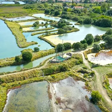 Offrir Baptême de l'air hélicoptère en Pays-de-la-Loire Offrir Baptême de l'air hélicoptère en Pays-de-la-Loire