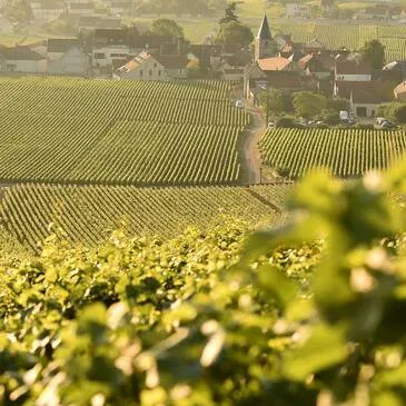 Urbain en région Bourgogne Urbain en région Bourgogne