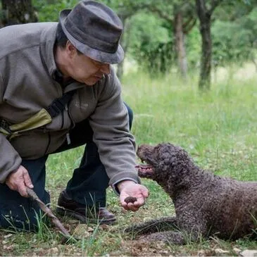 Côte d'or (21) Bourgogne - Urbain Côte d'or (21) Bourgogne - Urbain