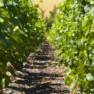 Urbain en région Bourgogne Urbain en région Bourgogne