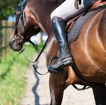Week-End Insolite en Roulotte près de Beaune Week-End Insolite en Roulotte près de Beaune