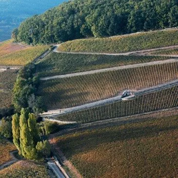 Week end dans les Airs proche Jouey, à 40 min de Beaune Week end dans les Airs proche Jouey, à 40 min de Beaune