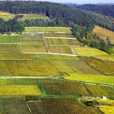 Week end Détente à Beaune et Vol en Montgolfière en région Bourgogne Week end Détente à Beaune et Vol en Montgolfière en région Bourgogne