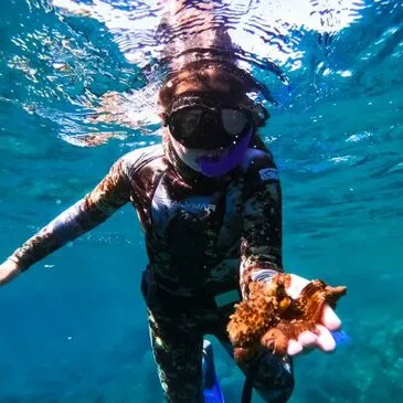 Snorkeling, département Var Snorkeling, département Var