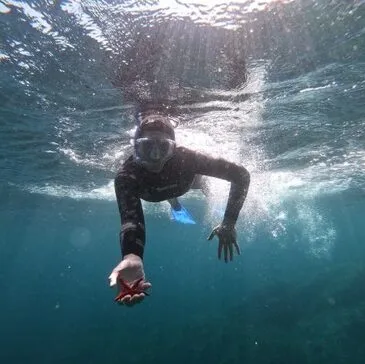 Snorkeling en région PACA et Corse Snorkeling en région PACA et Corse