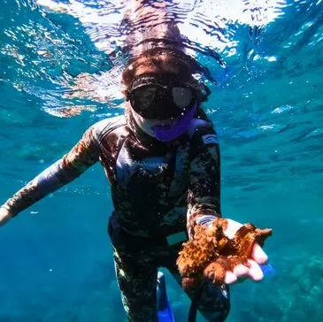 Var (83) PACA et Corse - Sport Aquatique Var (83) PACA et Corse - Sport Aquatique