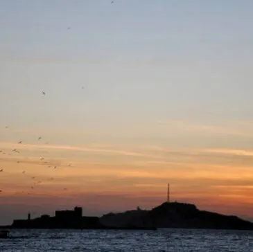 Marseille, Bouches du Rhône (13) - Balade en bateau Marseille, Bouches du Rhône (13) - Balade en bateau