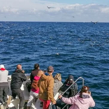 Morbihan (56) Bretagne - Sport Aquatique Morbihan (56) Bretagne - Sport Aquatique