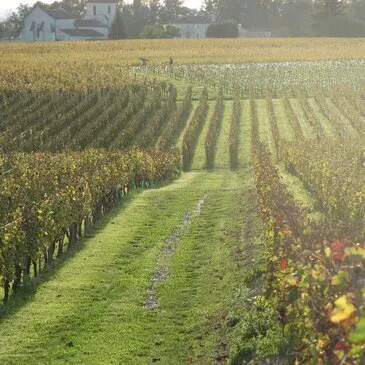 Saint-Michel-de-Fronsac, à 35 min de Bordeaux, Gironde (33) - Spa, Massage et Soin du corps Saint-Michel-de-Fronsac, à 35 min de Bordeaux, Gironde (33) - Spa, Massage et Soin du corps