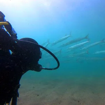 Le Barcarès, Pyrénées orientales (66) - Baptême de plongée Le Barcarès, Pyrénées orientales (66) - Baptême de plongée