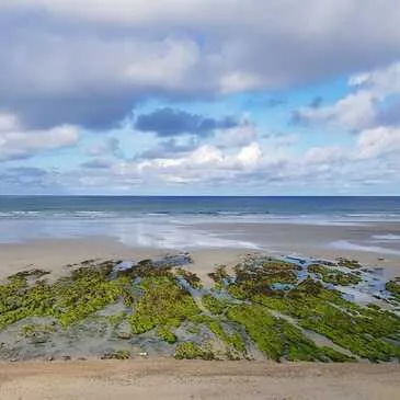 Surf et Sport de Glisse en région Bretagne Surf et Sport de Glisse en région Bretagne