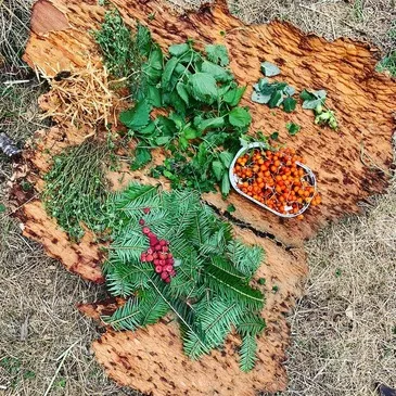 Saint-Sauveur-en-Rue, à 30 min de Saint-Etienne, Loire (42) - Stage de Survie Saint-Sauveur-en-Rue, à 30 min de Saint-Etienne, Loire (42) - Stage de Survie