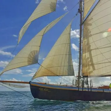 Sortie en Voilier Historique - Golfe du Morbihan et Île d'Houat Sortie en Voilier Historique - Golfe du Morbihan et Île d'Houat