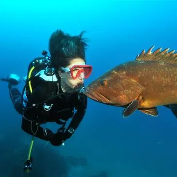 Baptême de plongée, département Var Baptême de plongée, département Var