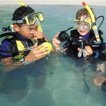 Baptême de plongée en région PACA et Corse Baptême de plongée en région PACA et Corse