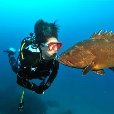 Sport Aquatique en région PACA et Corse Sport Aquatique en région PACA et Corse
