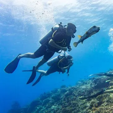 Brevet de Plongée CMAS Niveau 1 à Hyères  Brevet de Plongée CMAS Niveau 1 à Hyères