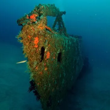 Brevet de Plongée Sous Marine en région PACA et Corse Brevet de Plongée Sous Marine en région PACA et Corse
