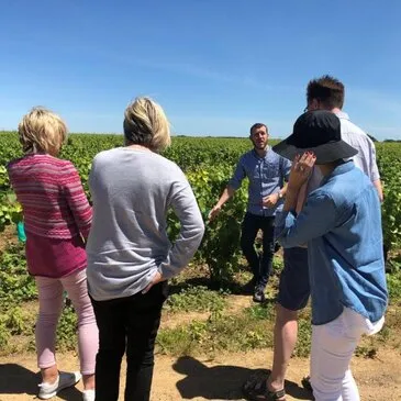 Beaune, Côte d'or (21) - Cours d'œnologie Beaune, Côte d'or (21) - Cours d'œnologie