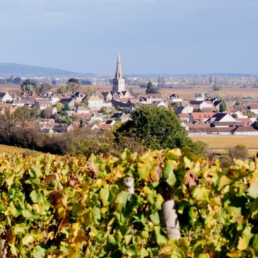 Balade œnologique à Beaune en région Bourgogne