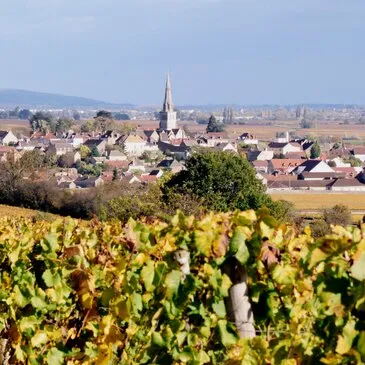 Balade œnologique à Beaune en région Bourgogne Balade œnologique à Beaune en région Bourgogne