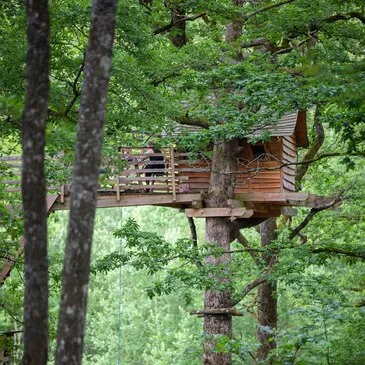 Cabane dans les Arbres à Vittel Cabane dans les Arbres à Vittel