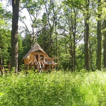 Nuit Insolite en Cabane familiale à Vittel Nuit Insolite en Cabane familiale à Vittel