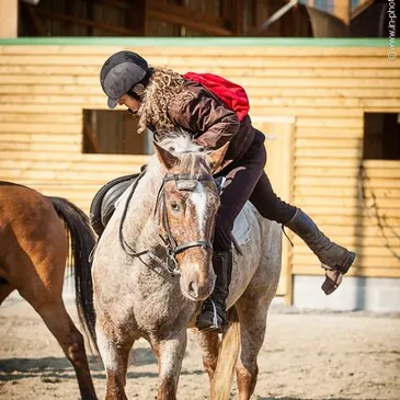 Weekend et Hébergement Insolite, département Somme Weekend et Hébergement Insolite, département Somme