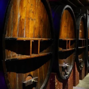 Visite de Cave et Dégustation de Vin à Limoux  Visite de Cave et Dégustation de Vin à Limoux