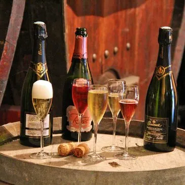 Cours d'œnologie, département Aude Cours d'œnologie, département Aude