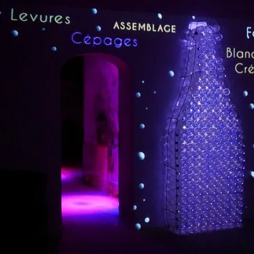 Cours d'œnologie en région Languedoc-Roussillon Cours d'œnologie en région Languedoc-Roussillon