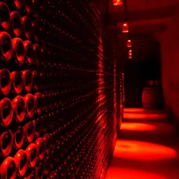 Limoux, Aude (11) - Cours d'œnologie Limoux, Aude (11) - Cours d'œnologie