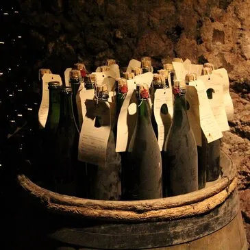 Cours d'œnologie proche Limoux Cours d'œnologie proche Limoux