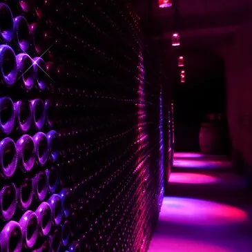 Visite de Cave et Dégustation de Vin à Limoux  en région Languedoc-Roussillon Visite de Cave et Dégustation de Vin à Limoux  en région Languedoc-Roussillon