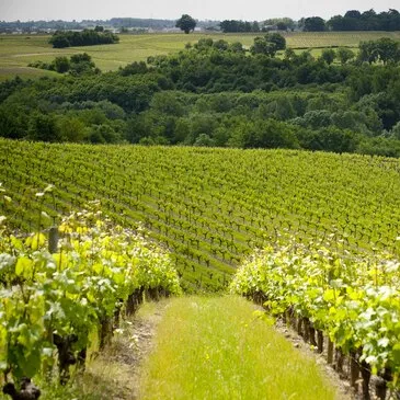 Week end Gastronomique, département Maine et loire Week end Gastronomique, département Maine et loire