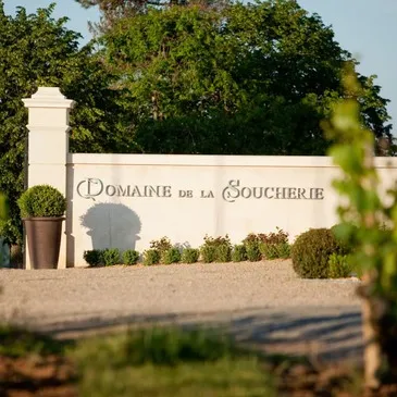 Week end Gastronomique proche Beaulieu-sur-Layon, à 20 min. d'Angers Week end Gastronomique proche Beaulieu-sur-Layon, à 20 min. d'Angers