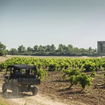 Week end Œnotourisme au Château de Castigno Week end Œnotourisme au Château de Castigno