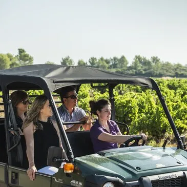 Week end dans un Château, département Hérault Week end dans un Château, département Hérault