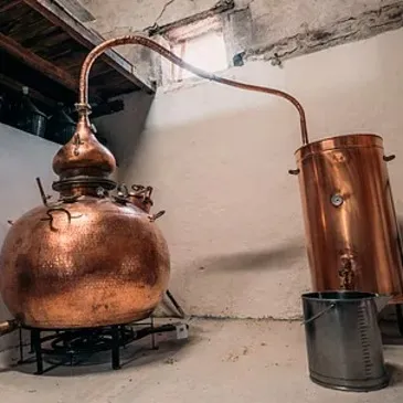 Cours d'œnologie, département Gironde Cours d'œnologie, département Gironde