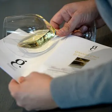 Cours d'Œnologie à La Rochelle Cours d'Œnologie à La Rochelle