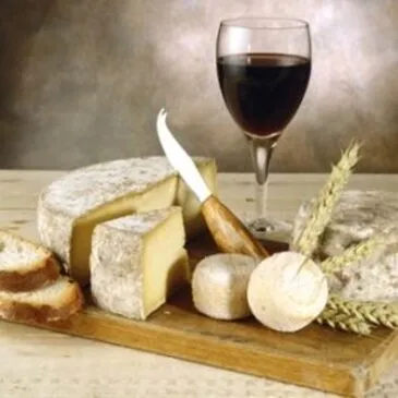 Cours d'œnologie en région Pays-de-la-Loire Cours d'œnologie en région Pays-de-la-Loire