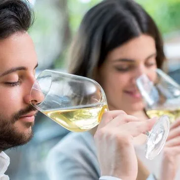 Le Mans, Sarthe (72) - Cours d'œnologie Le Mans, Sarthe (72) - Cours d'œnologie