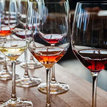 Cours d'œnologie en région Pays-de-la-Loire Cours d'œnologie en région Pays-de-la-Loire