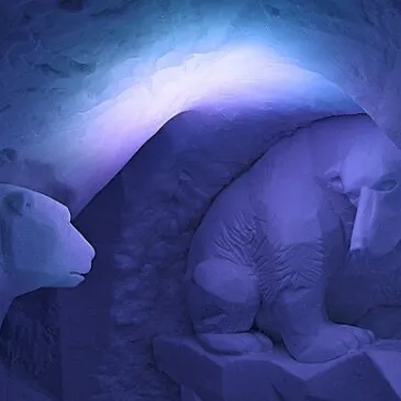 Dîner dans un Igloo à Val Thorens Dîner dans un Igloo à Val Thorens
