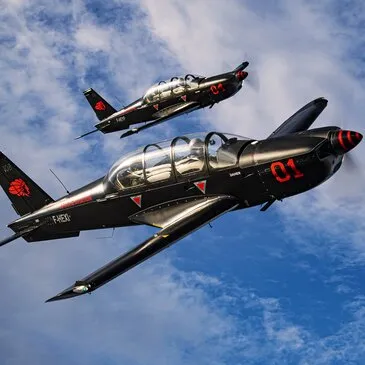 Baptême en avion de voltige, département Hérault Baptême en avion de voltige, département Hérault