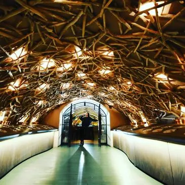 Atelier de Fabrication de Vin aux Caves du Louvre à Paris en région Ile-de-France Atelier de Fabrication de Vin aux Caves du Louvre à Paris en région Ile-de-France