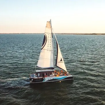 Promenade en Catamaran au Coucher de Soleil à l'Ile de Ré Promenade en Catamaran au Coucher de Soleil à l'Ile de Ré
