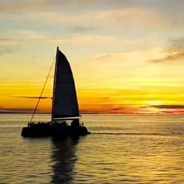 Promenade en Catamaran au Coucher de Soleil à Oléron Promenade en Catamaran au Coucher de Soleil à Oléron